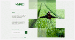 Desktop Screenshot of caleffiexcellence.com